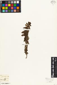 SW_BNB_s3010-07020_IMG-0000000001