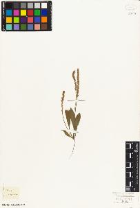 SW_BNB_s3010-07021_IMG-0000000001