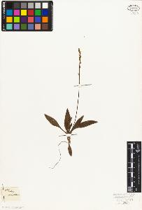 SW_BNB_s3010-07023_IMG-0000000001
