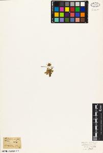 SW_BNB_s3010-07028_IMG-0000000001
