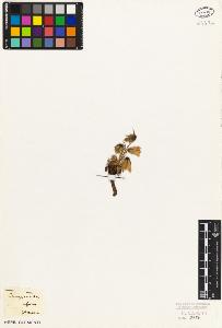 SW_BNB_s3010-07038_IMG-0000000001