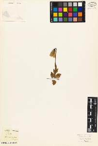 SW_BNB_s3010-07042_IMG-0000000001