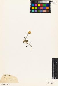SW_BNB_s3010-07044_IMG-0000000001
