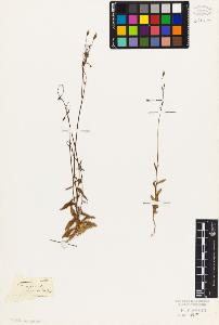 SW_BNB_s3010-07046_IMG-0000000001