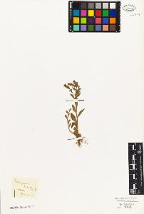 SW_BNB_s3010-07051_IMG-0000000001