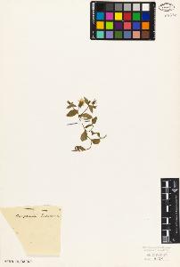 SW_BNB_s3010-07052_IMG-0000000001