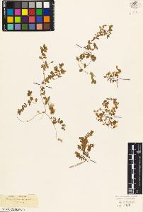 SW_BNB_s3010-07055_IMG-0000000001