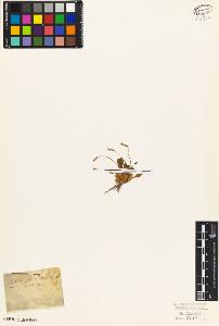 SW_BNB_s3010-07060_IMG-0000000001