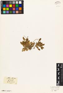 SW_BNB_s3010-07063_IMG-0000000001