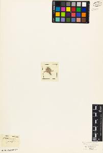 SW_BNB_s3010-07068_IMG-0000000001