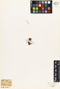 SW_BNB_s3010-07079_IMG-0000000001