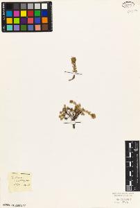 SW_BNB_s3010-07083_IMG-0000000001