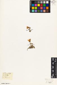 SW_BNB_s3010-07085_IMG-0000000001