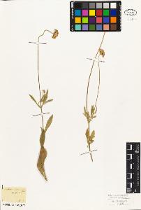 SW_BNB_s3010-07091_IMG-0000000001