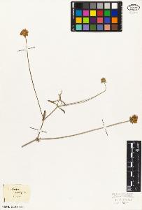 SW_BNB_s3010-07094_IMG-0000000001