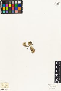 SW_BNB_s3010-07095_IMG-0000000001