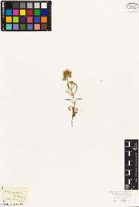 SW_BNB_s3010-07096_IMG-0000000001