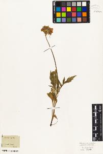 SW_BNB_s3010-07101_IMG-0000000001