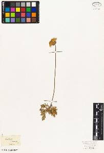SW_BNB_s3010-07105_IMG-0000000001