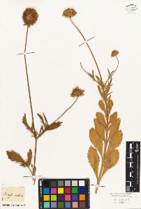 SW_BNB_s3010-07107_IMG-0000000001