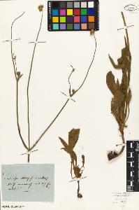 SW_BNB_s3010-07108_IMG-0000000001