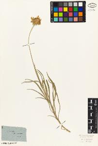 SW_BNB_s3010-07109_IMG-0000000001