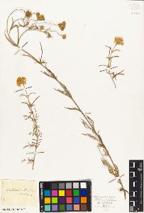 SW_BNB_s3010-07110_IMG-0000000001