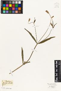 SW_BNB_s3010-07112_IMG-0000000001