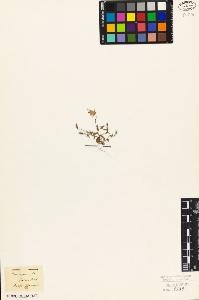SW_BNB_s3010-07131_IMG-0000000001