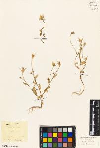SW_BNB_s3010-07135_IMG-0000000001