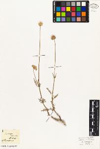 SW_BNB_s3010-07138_IMG-0000000001