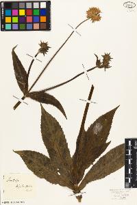 SW_BNB_s3010-07140_IMG-0000000001