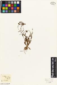 SW_BNB_s3010-07142_IMG-0000000001