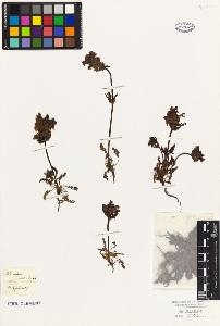 SW_BNB_s3010-07145_IMG-0000000001