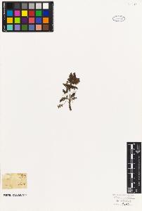 SW_BNB_s3010-07147_IMG-0000000001