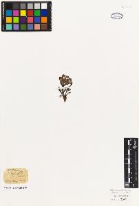 SW_BNB_s3010-07148_IMG-0000000001