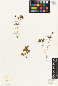 SW_BNB_s3010-07149_IMG-0000000001