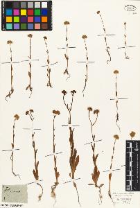 SW_BNB_s3010-07152_IMG-0000000001