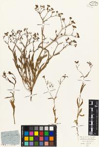 SW_BNB_s3010-07153_IMG-0000000001