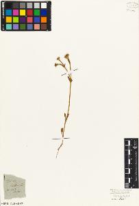 SW_BNB_s3010-07154_IMG-0000000001