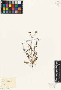 SW_BNB_s3010-07156_IMG-0000000001