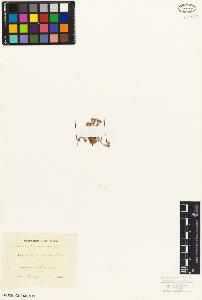 SW_BNB_s3010-07158_IMG-0000000001