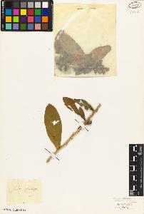 SW_BNB_s3010-07169_IMG-0000000001