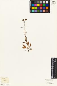 SW_BNB_s3010-07170_IMG-0000000001
