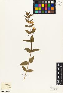 SW_BNB_s3010-07177_IMG-0000000001