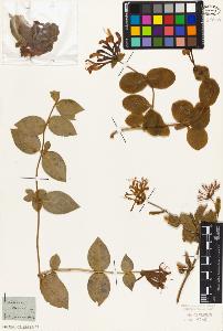 SW_BNB_s3010-07178_IMG-0000000001