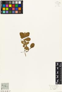 SW_BNB_s3010-07179_IMG-0000000001