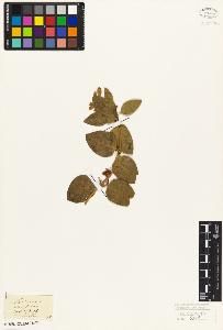 SW_BNB_s3010-07188_IMG-0000000001