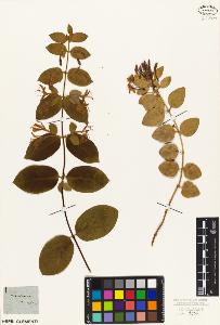 SW_BNB_s3010-07189_IMG-0000000001