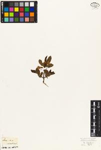SW_BNB_s3010-07190_IMG-0000000001